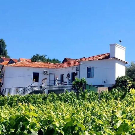 Villa Casa Ceci Douro Cidadelhe  Exterior foto