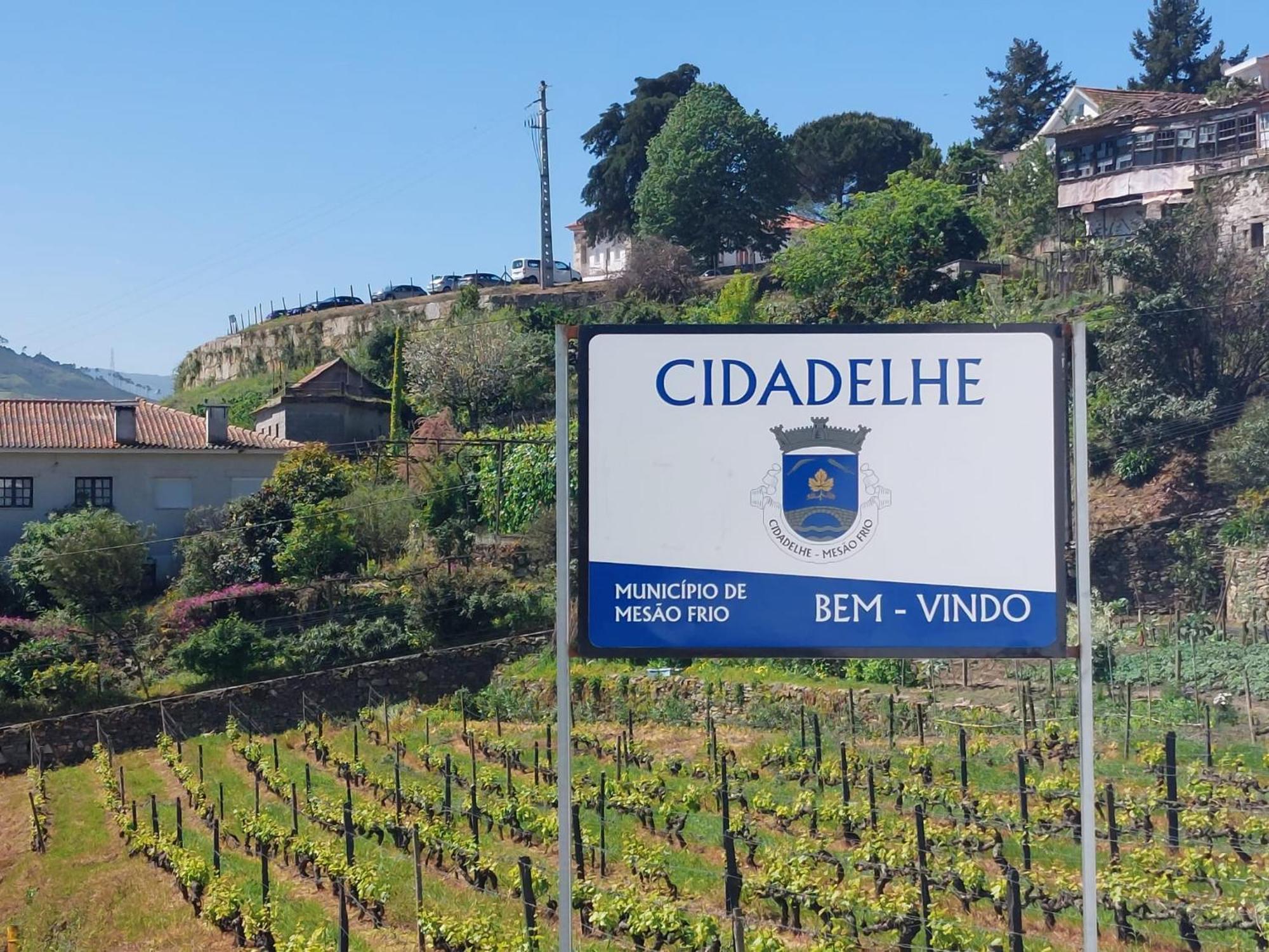 Villa Casa Ceci Douro Cidadelhe  Exterior foto