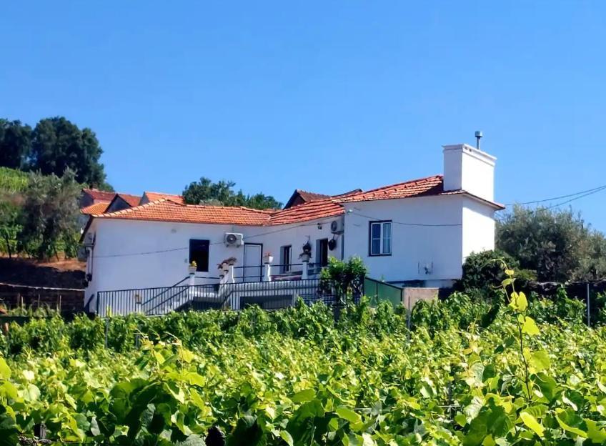 Villa Casa Ceci Douro Cidadelhe  Exterior foto
